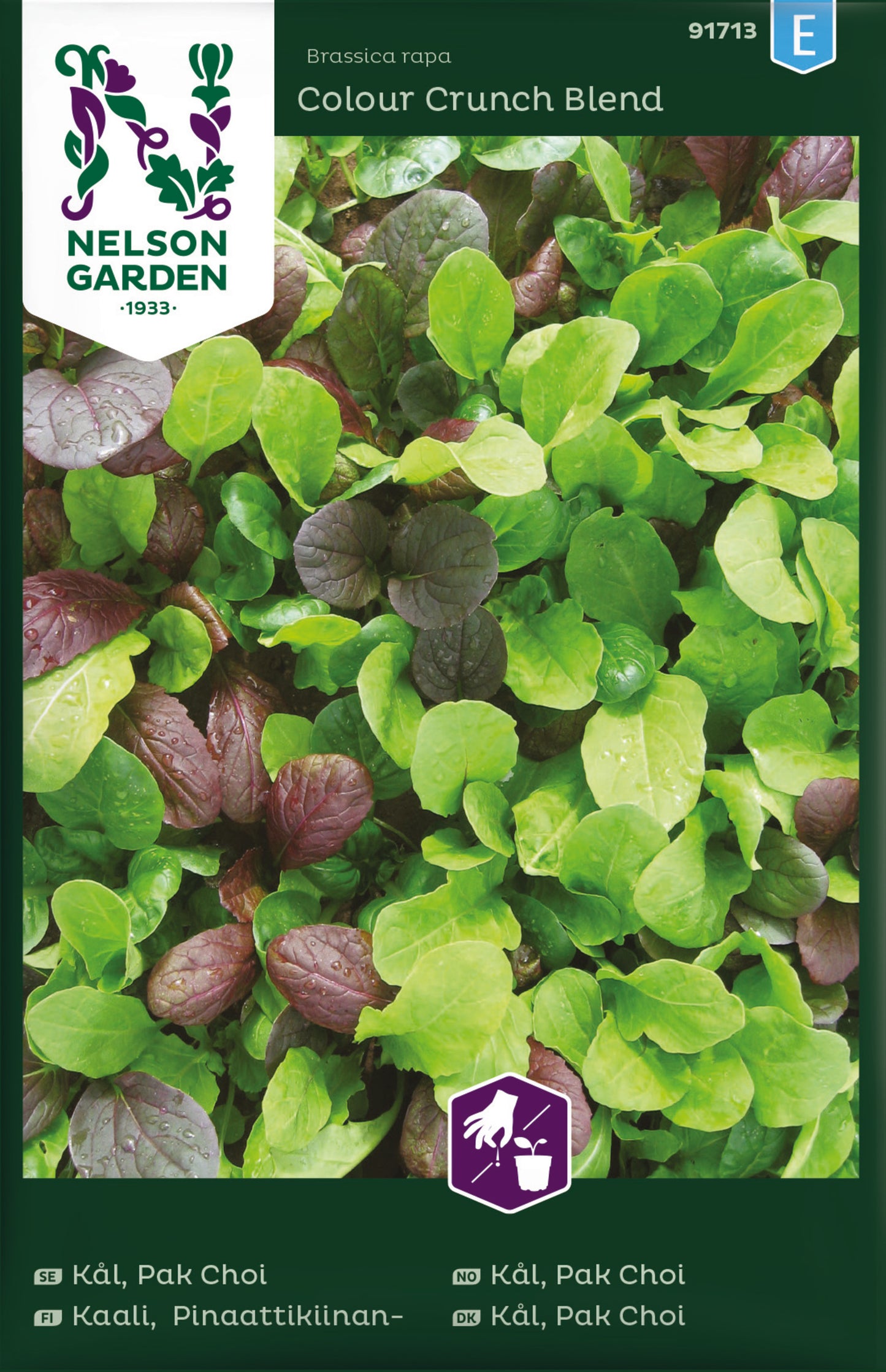 Kål, Pak Choi, mix