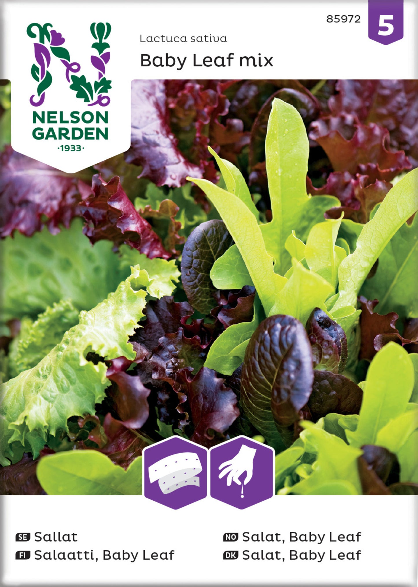 Sallat, Baby Leaf, mix, såband