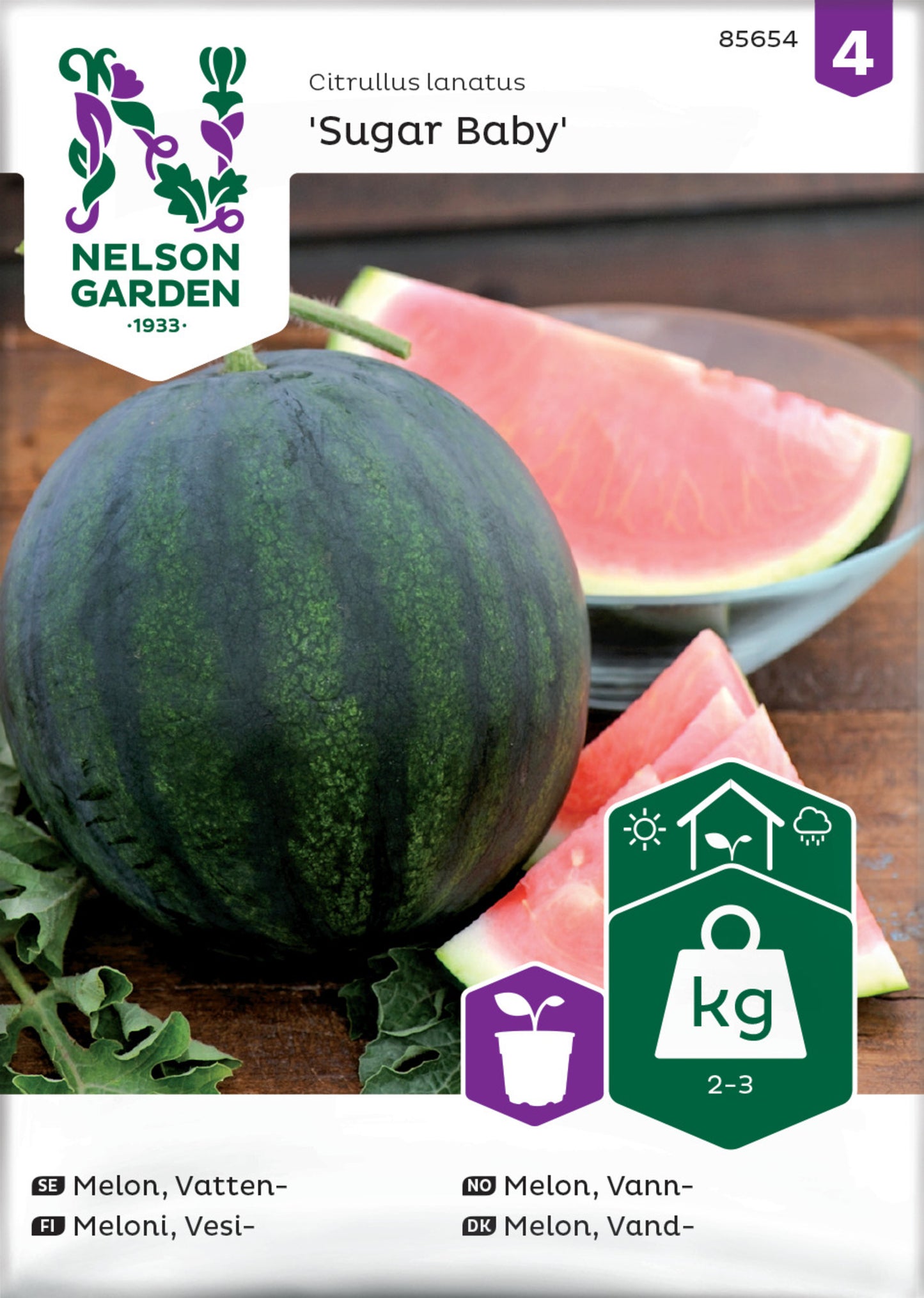 Melon, Vatten-, Sugar Baby