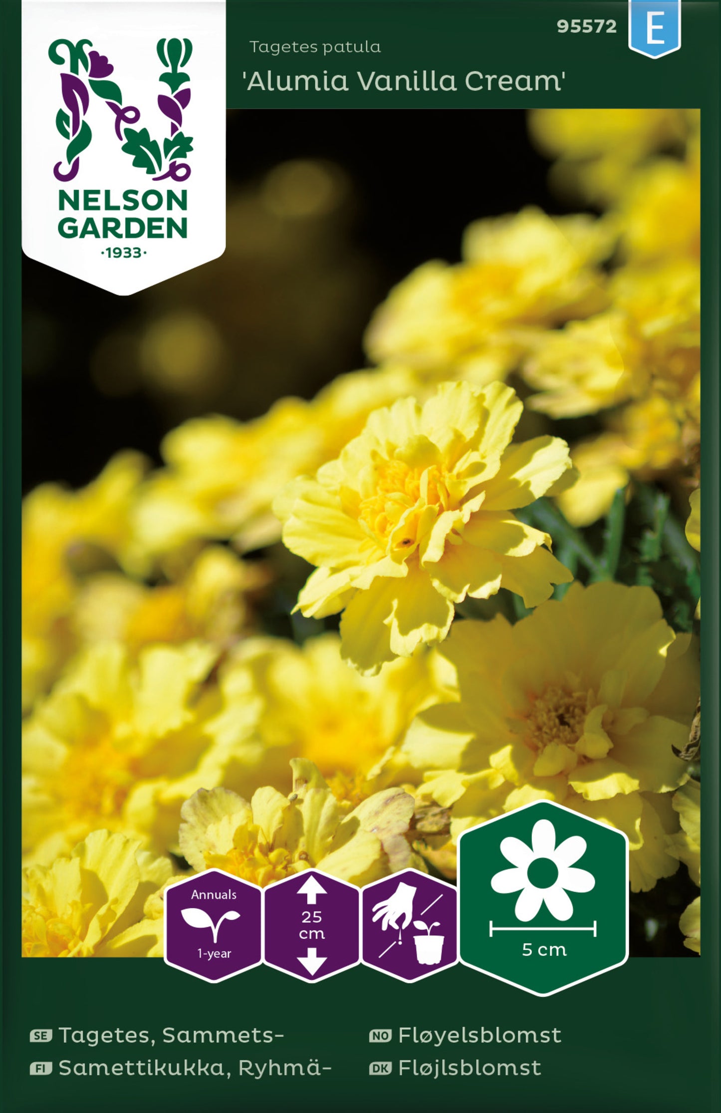Tagetes, Sammets-, 'Alumia Vanilla Cream