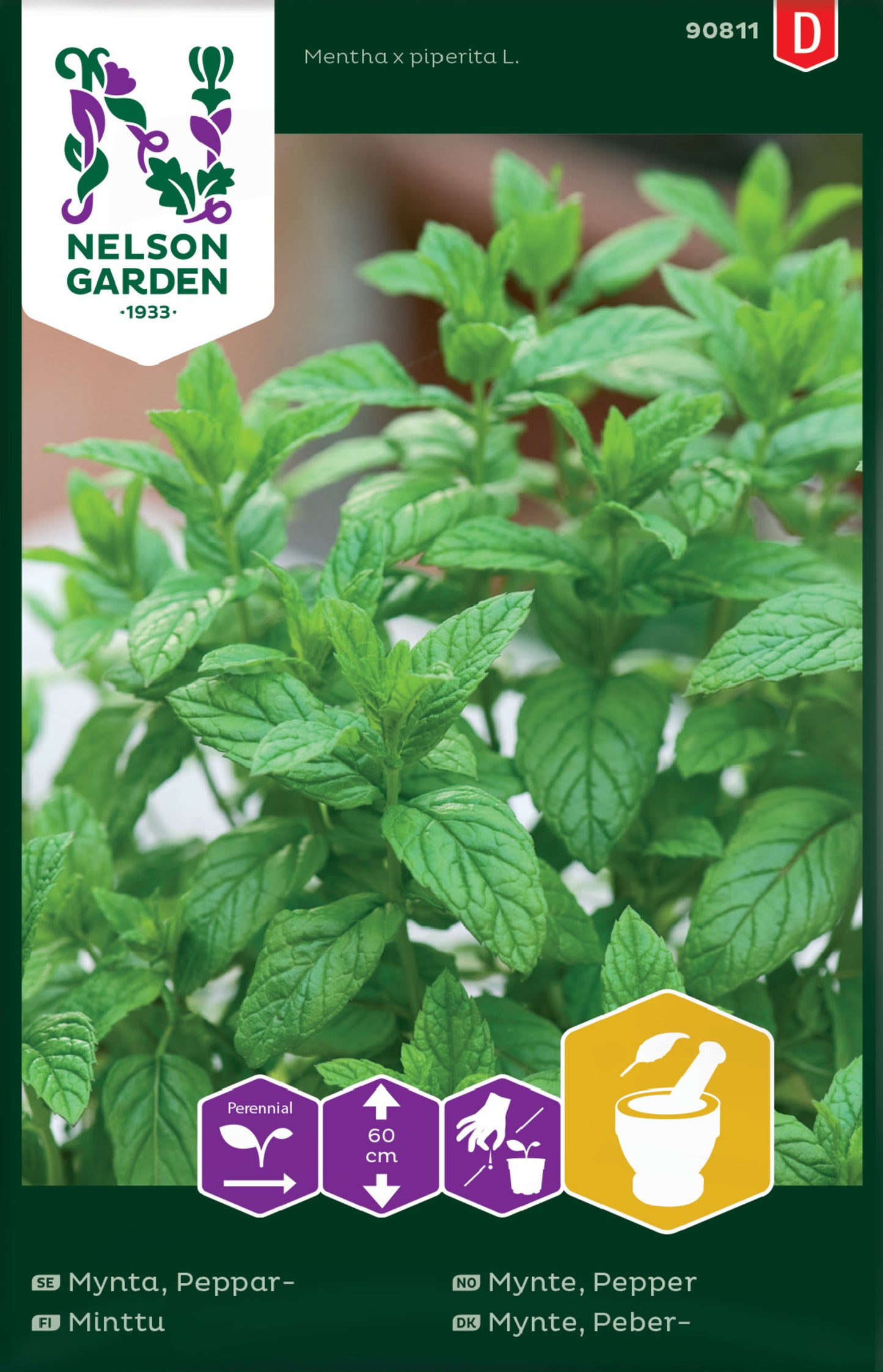 Mynta, Peppar-