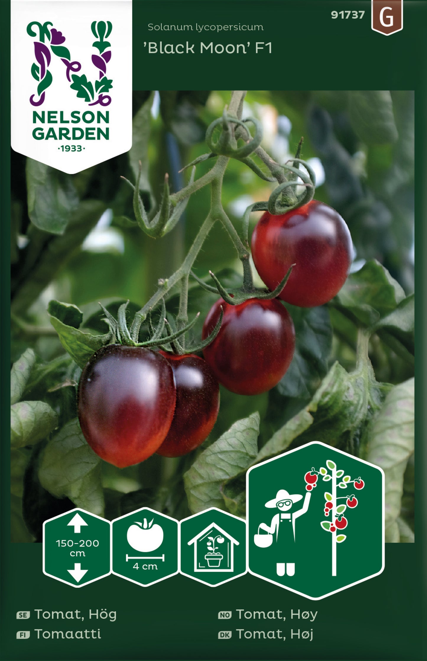Tomat, Hög, Black Moon F1