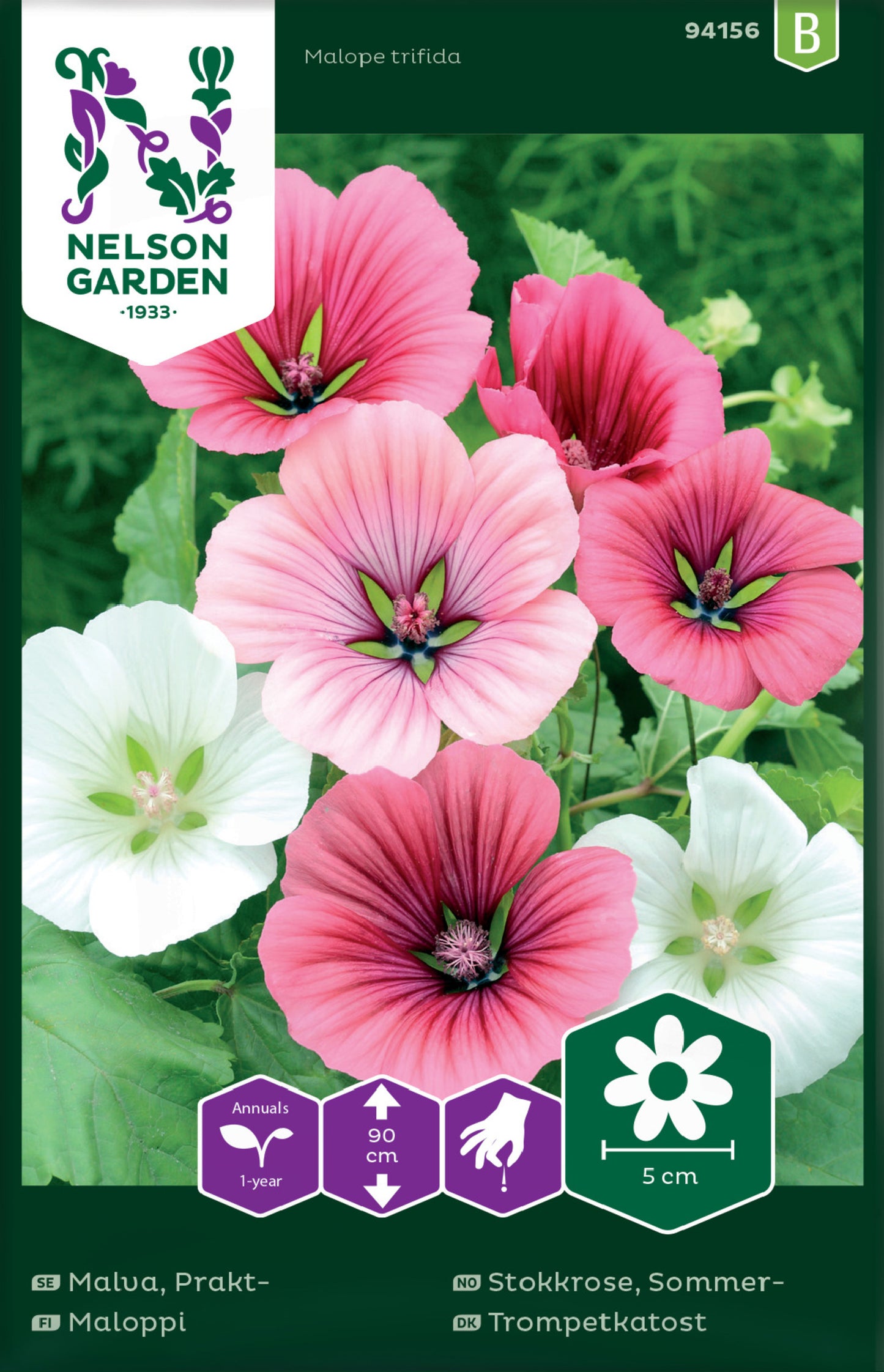 Malva, Prakt-, bl färger
