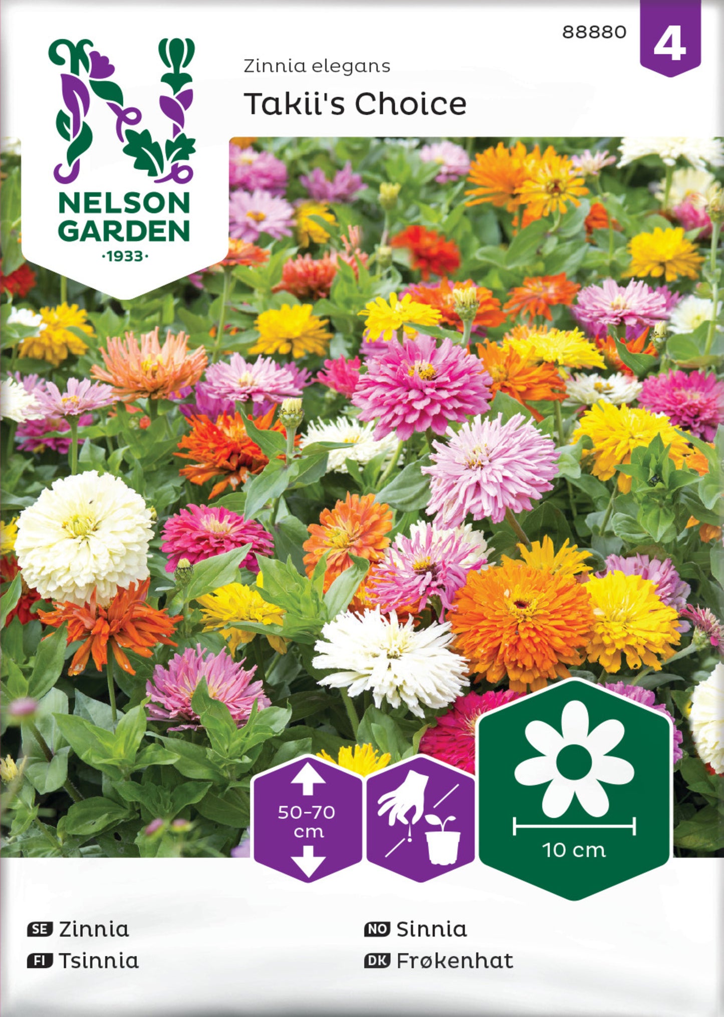 Zinnia, Takii´s Choice