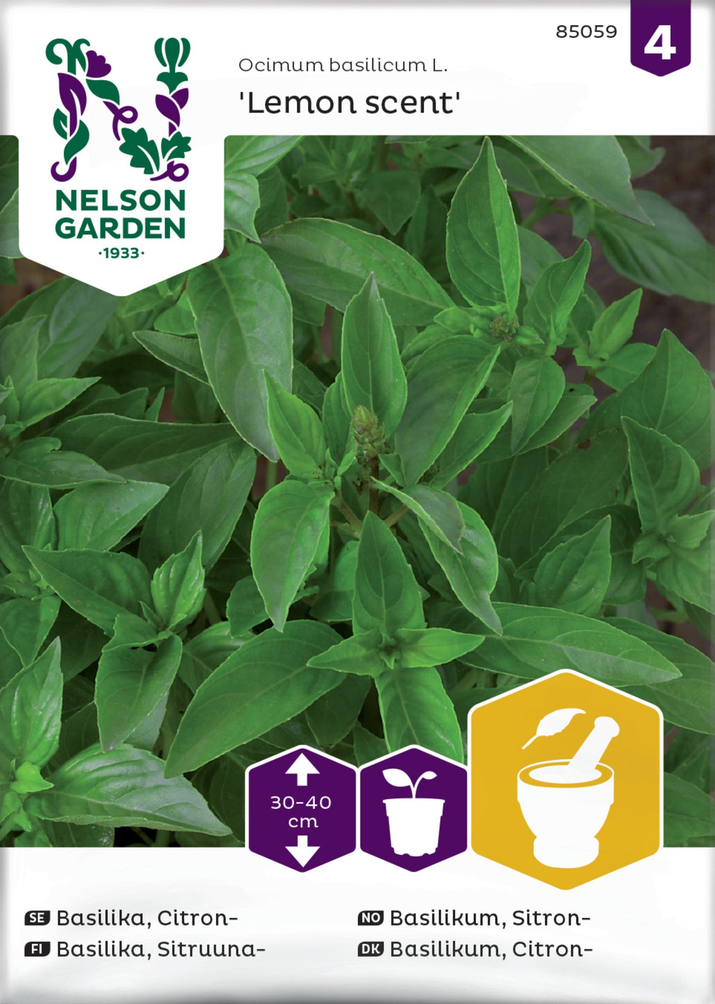 Basilika, Citron-, Lemon scent
