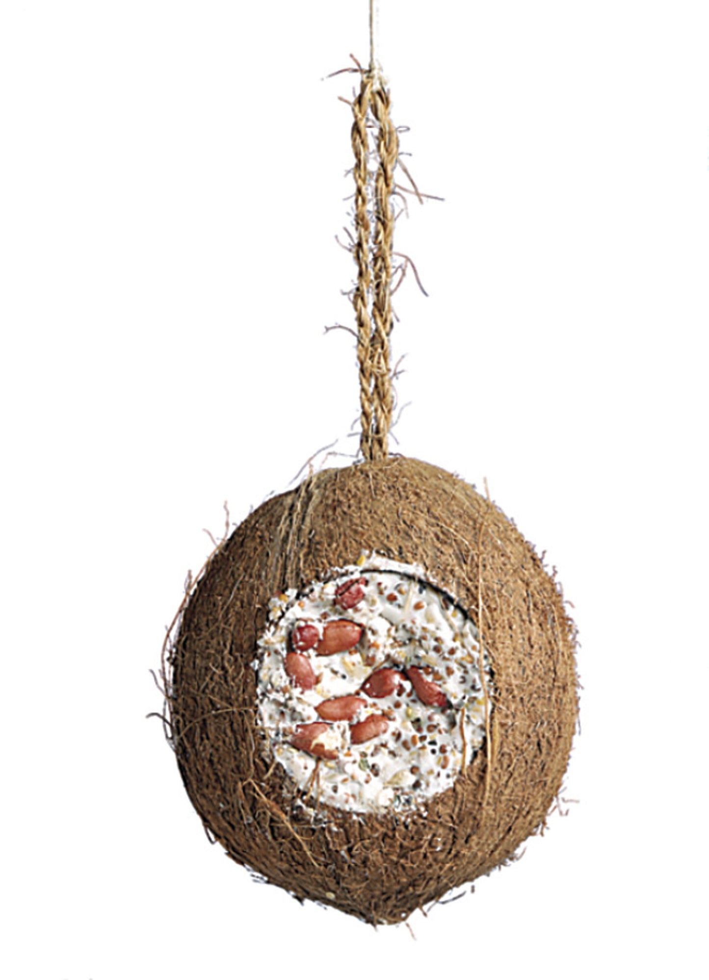Kokosnöt hel talg med frön