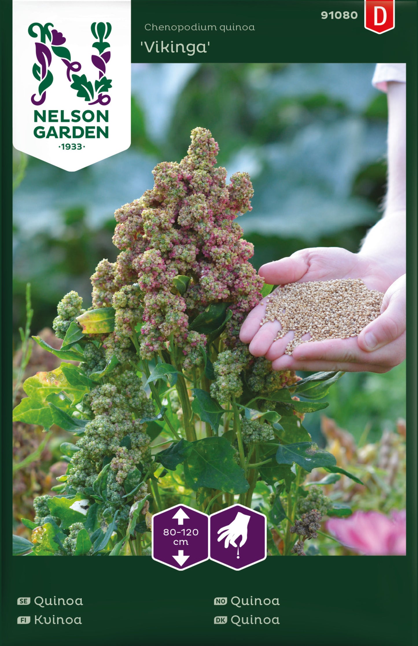 Quinoa, Vikinga
