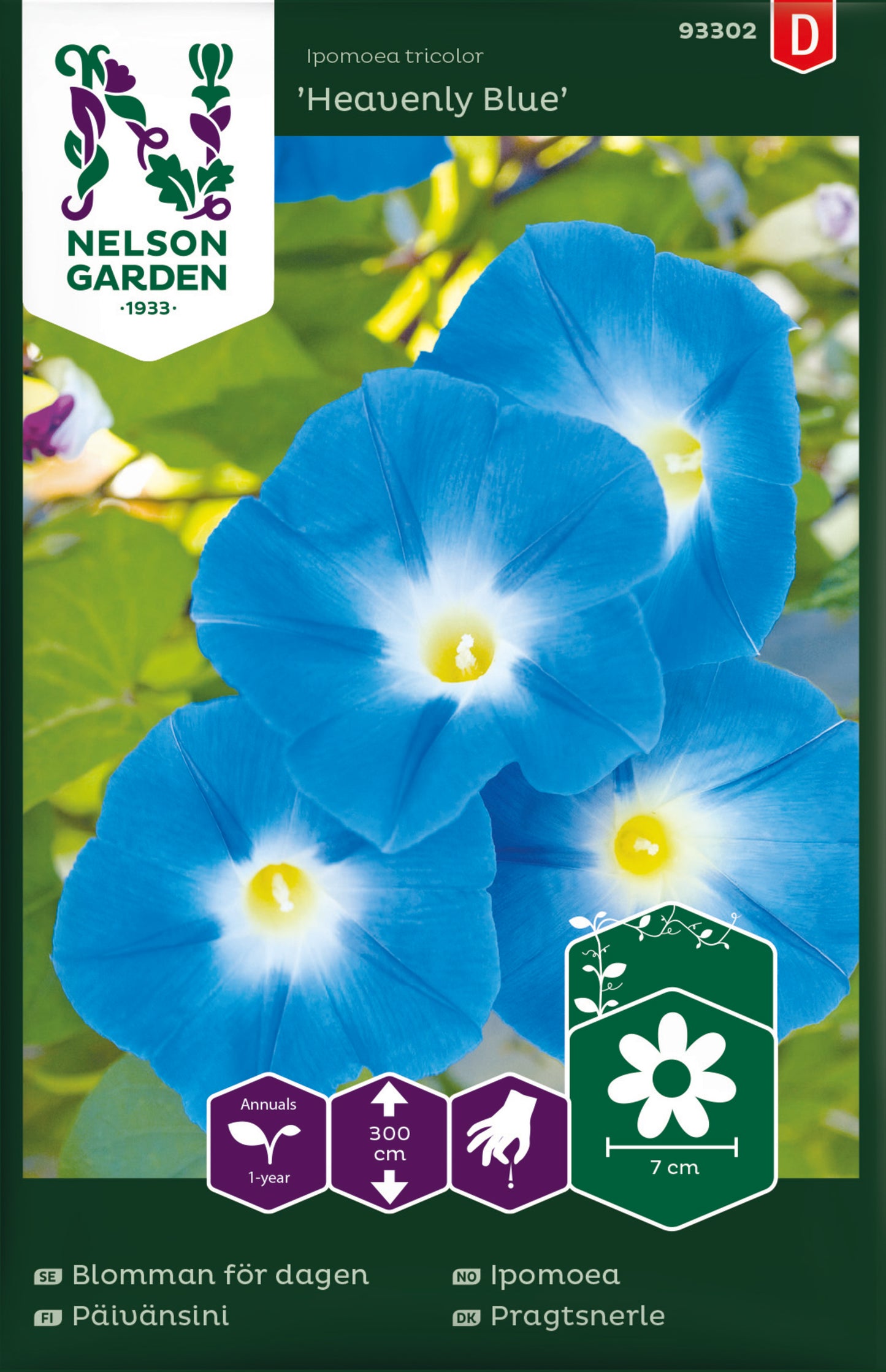 Blomman för dagen, Heavenly Blue