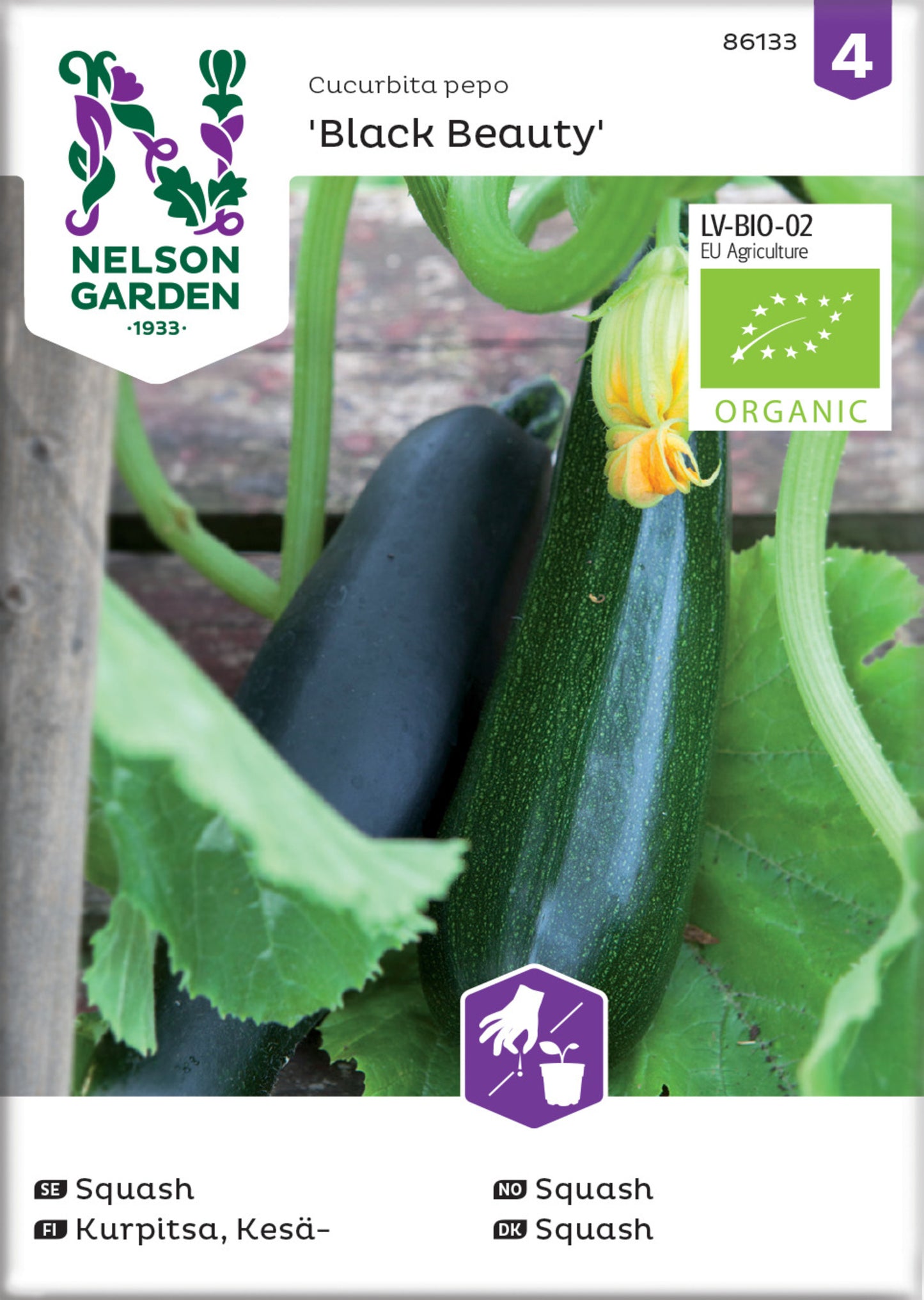 Squash, Black Beauty, Organic