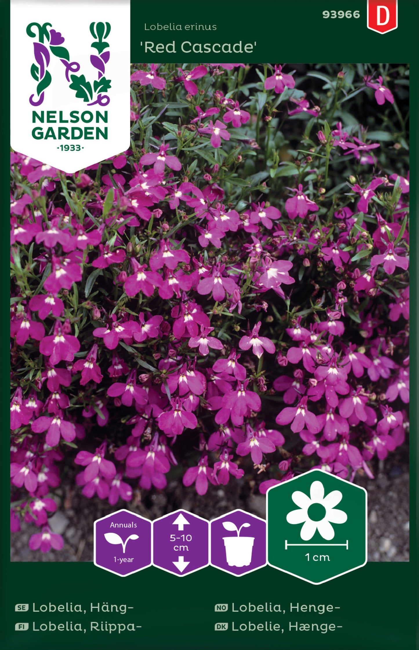 Lobelia, Häng-, Red Cascade