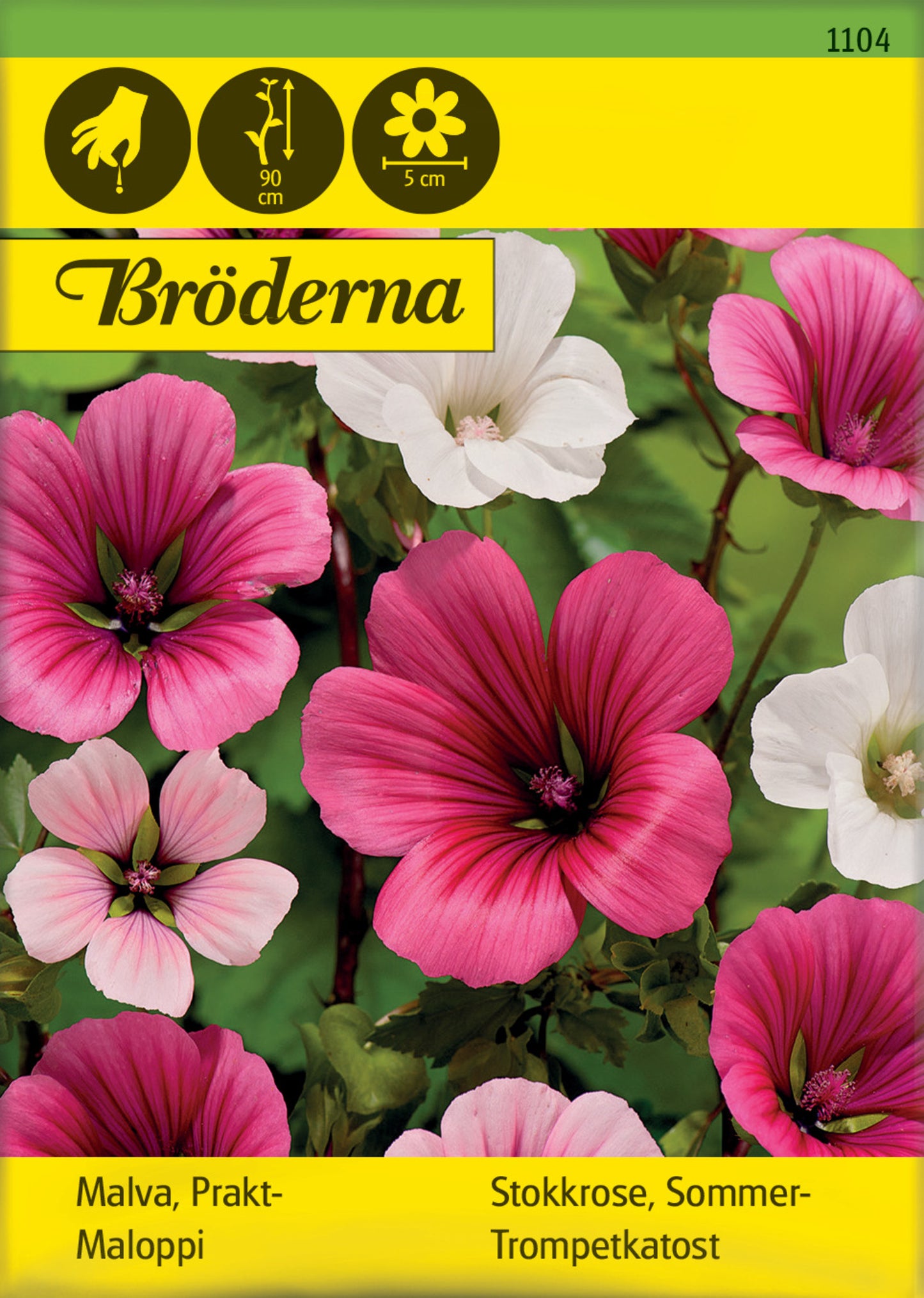 Malva, Prakt-, bl färger