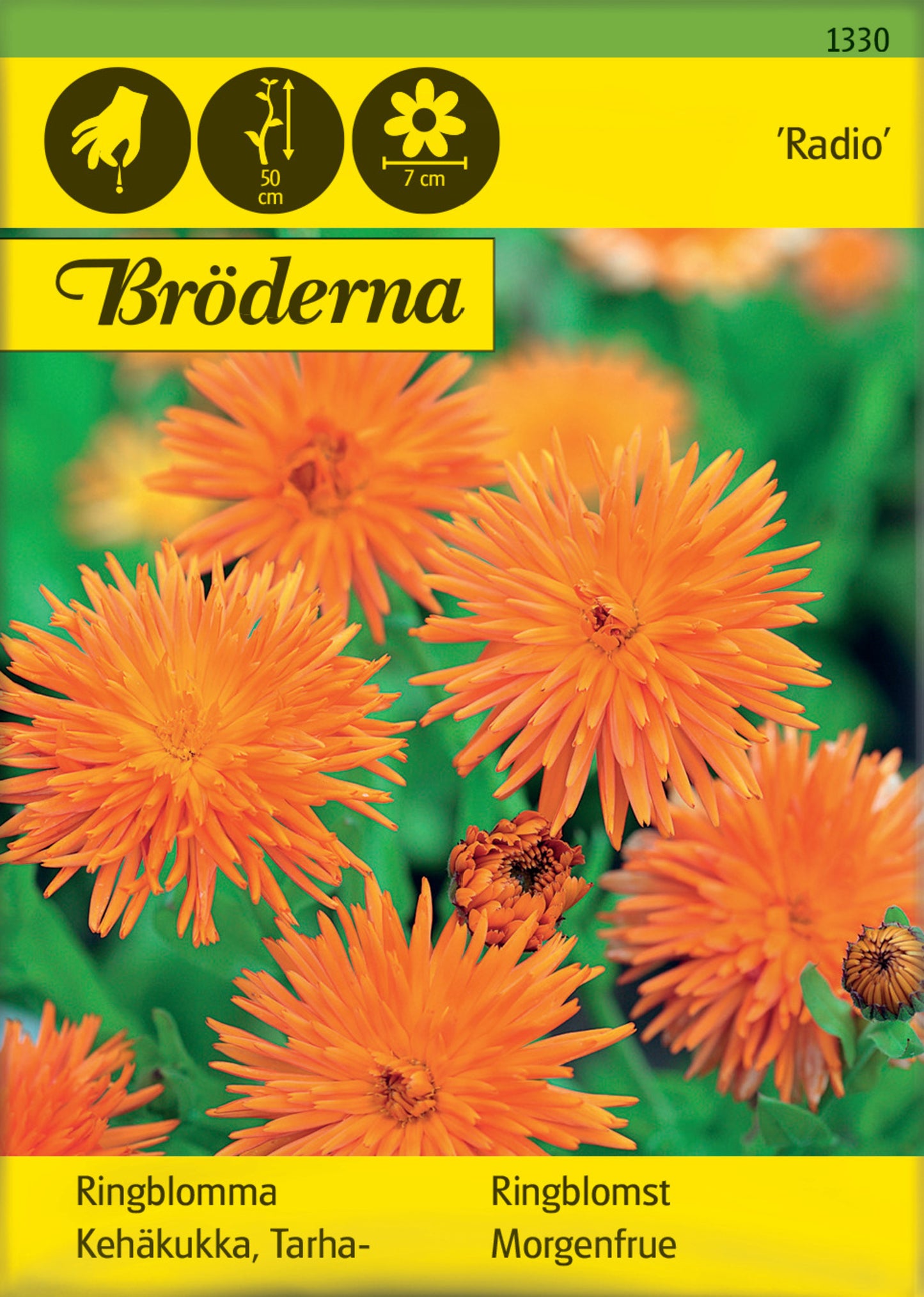 Ringblomma, Radio