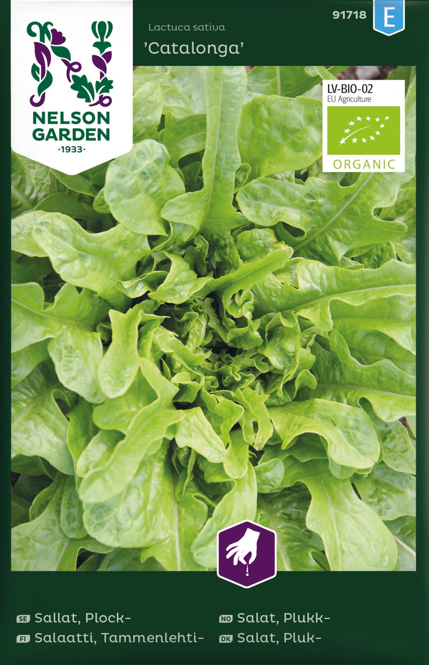 Sallat, Plock-, Catalonga, Organic
