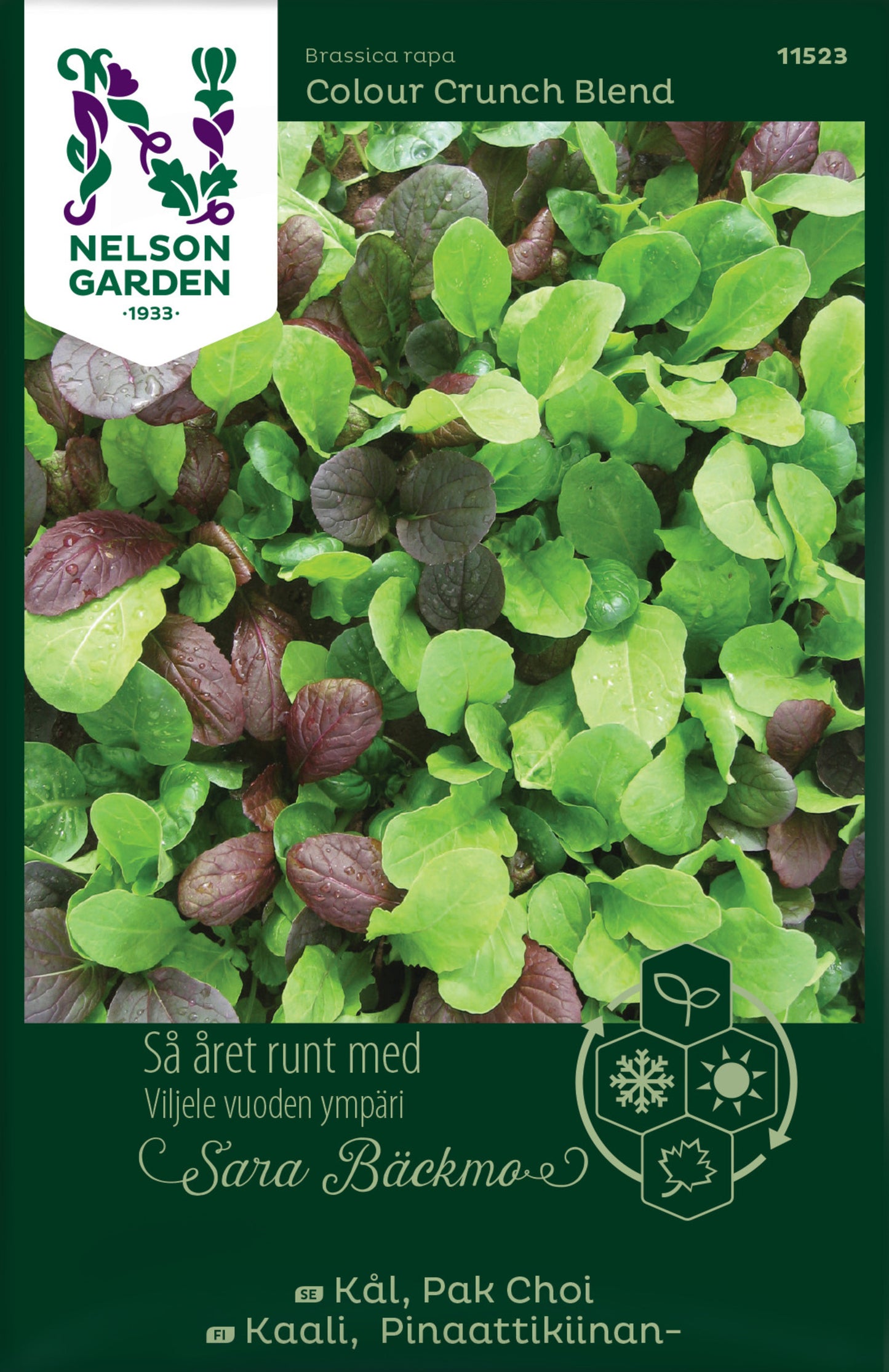 Kål, Pak Choi, mix