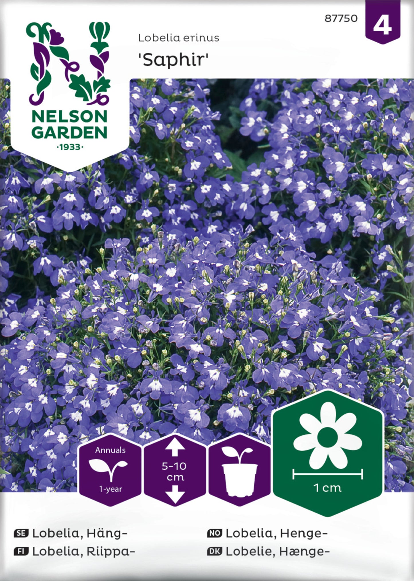 Lobelia, Häng-, Saphir, blå