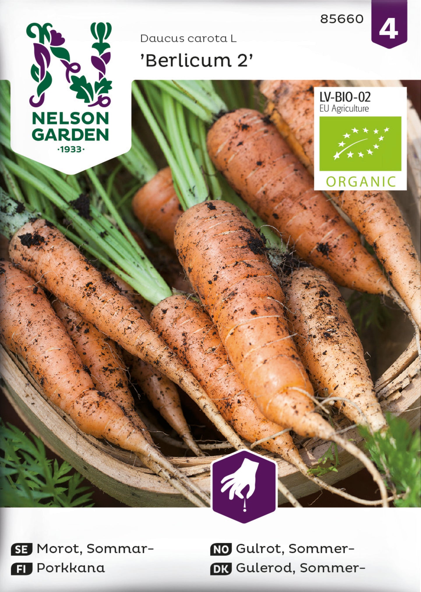 Morot, Sommar-, Berlicum 2, Organic