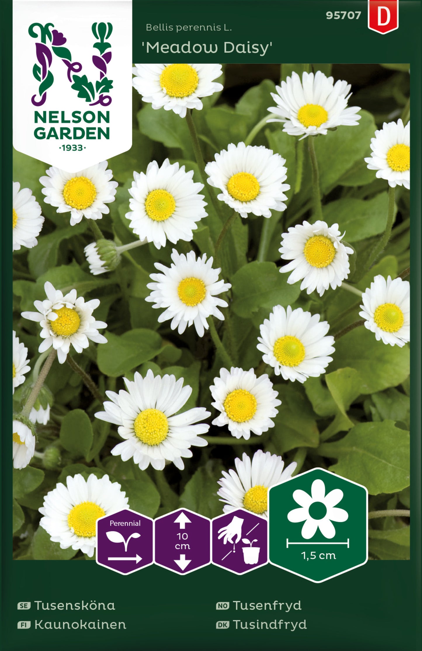 Tusensköna, Meadow Daisy, vildform, vit