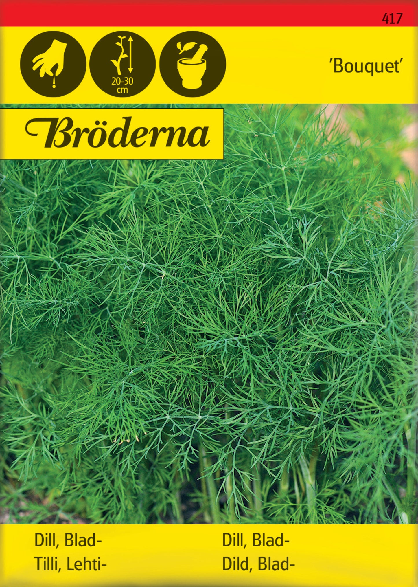 Dill, Blad-, Bouquet