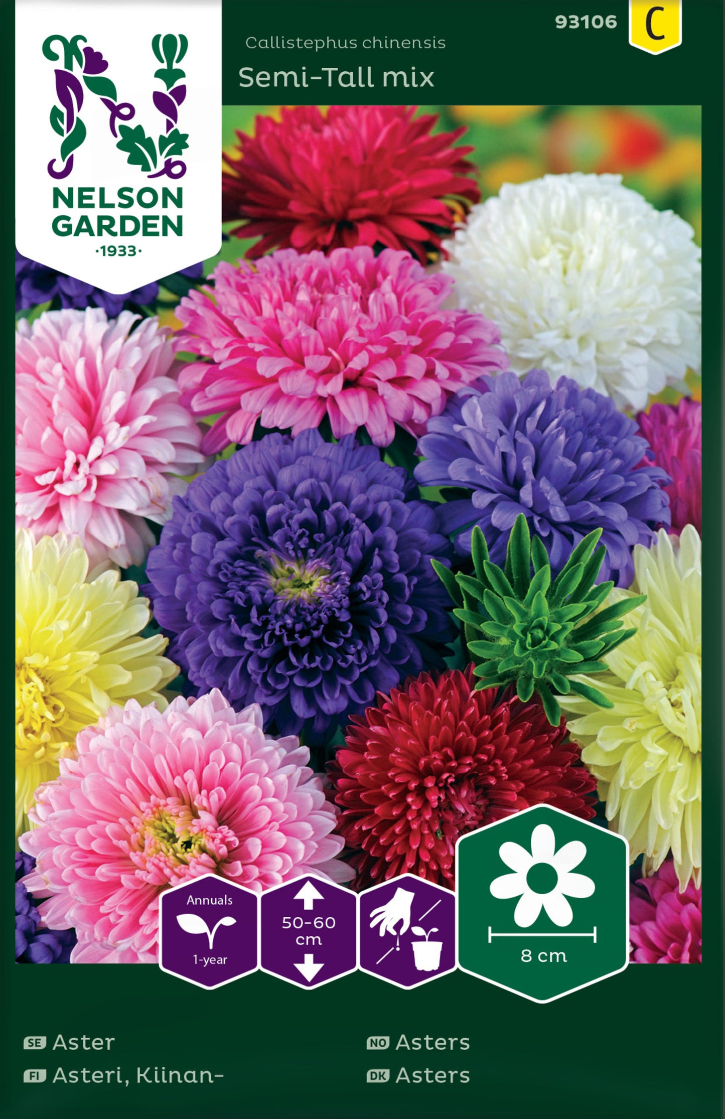 Aster, Dubbel, bl färger