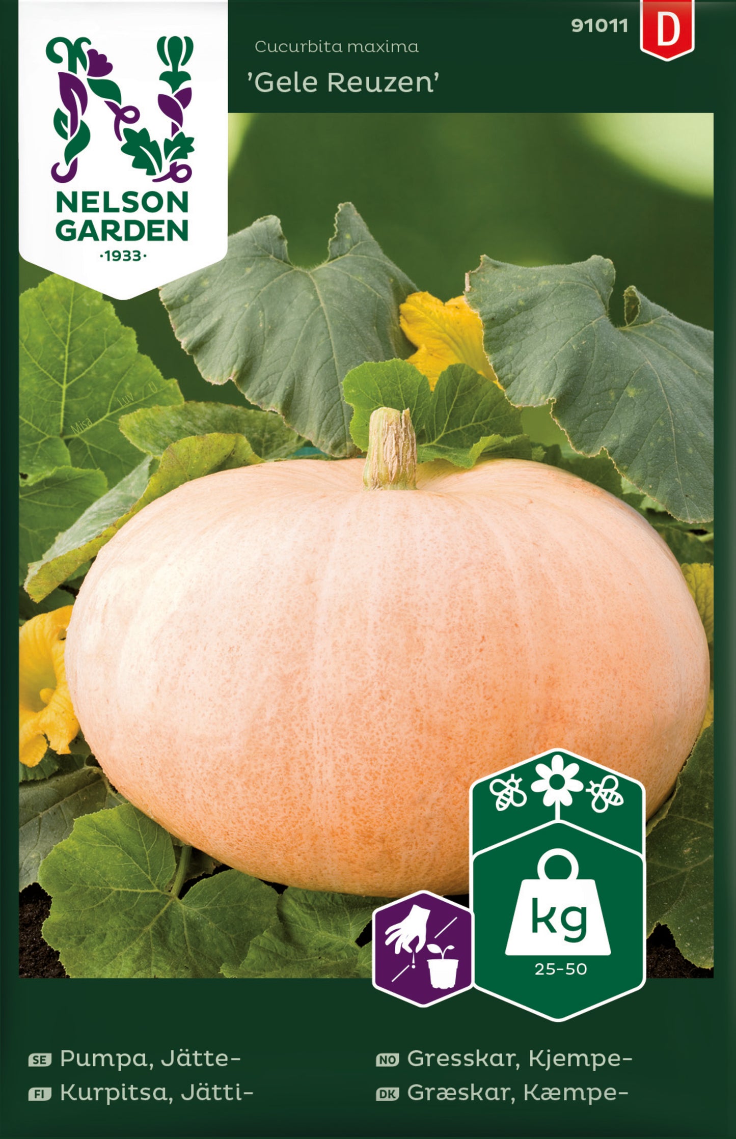Pumpa, Jätte-, Gele Reuzen
