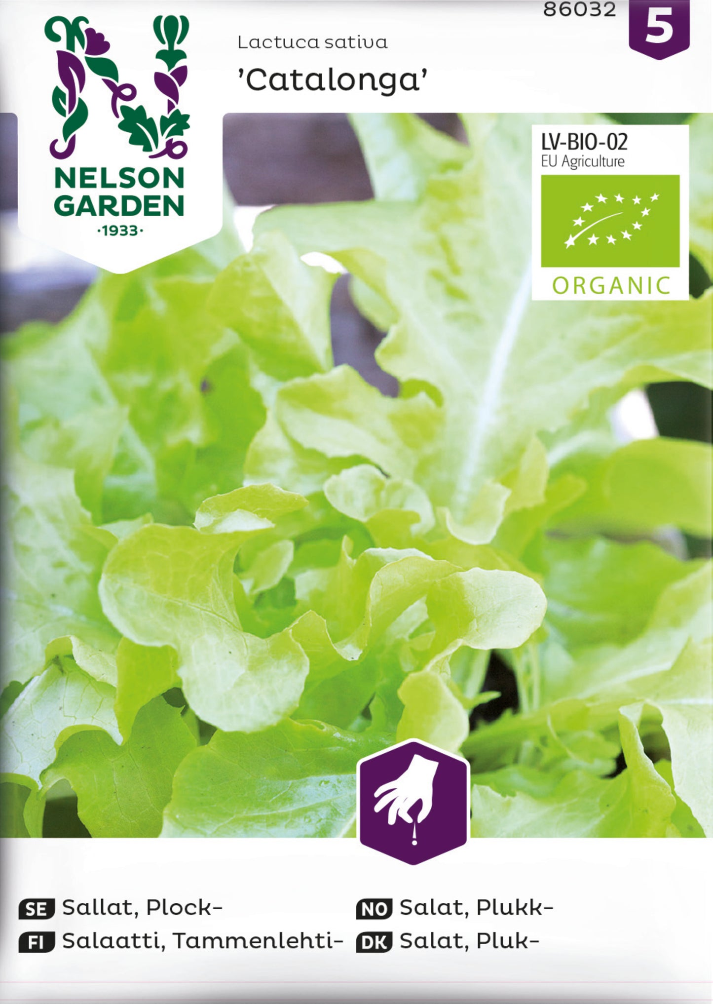 Sallat, Plock-, Catalonga, Organic