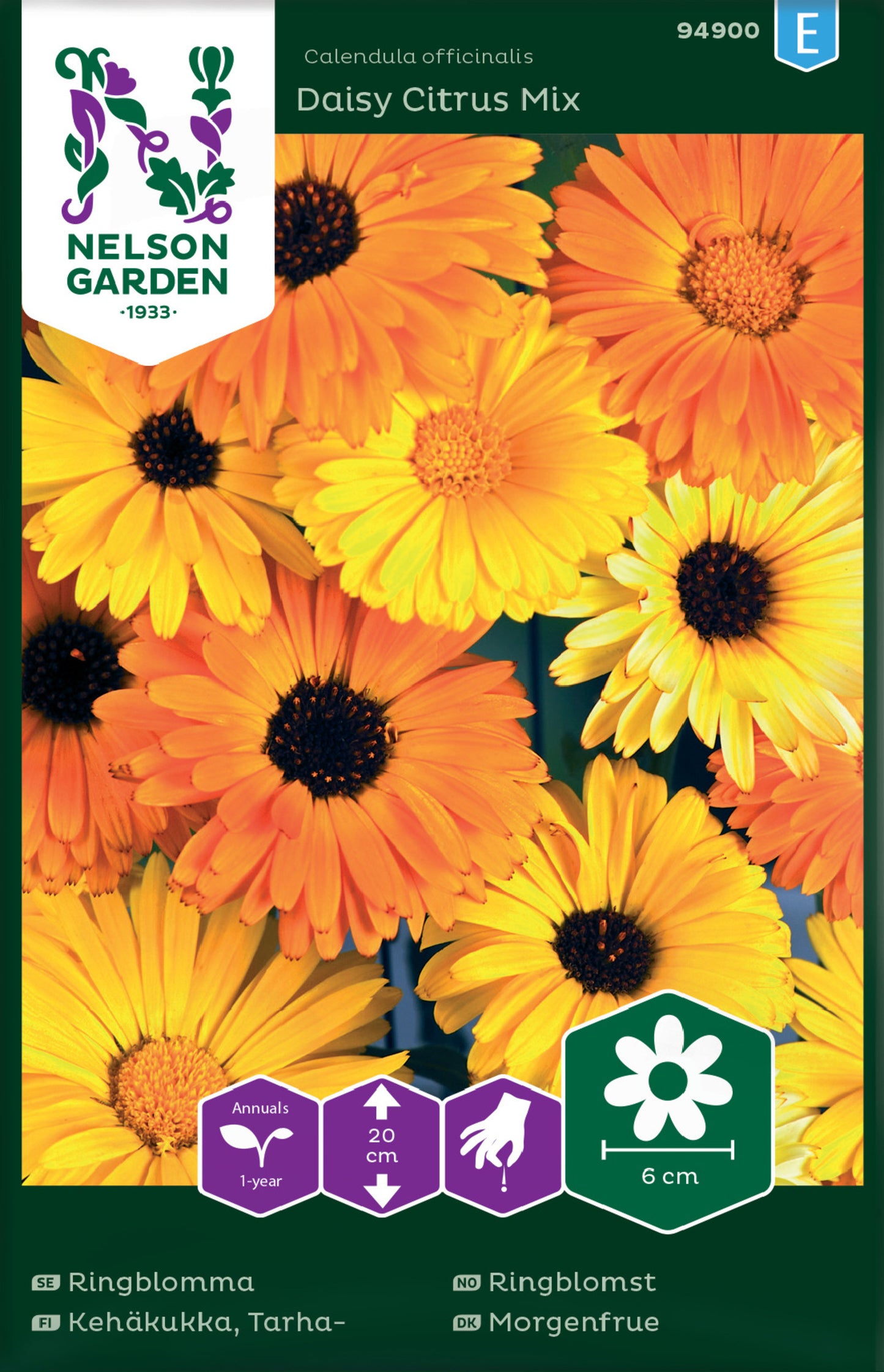 Ringblomma, Daisy Citrus Mix, låg