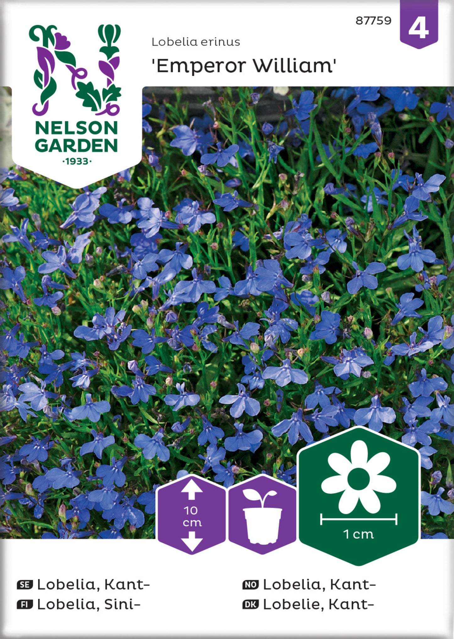 Lobelia, Kant-, Emperor William