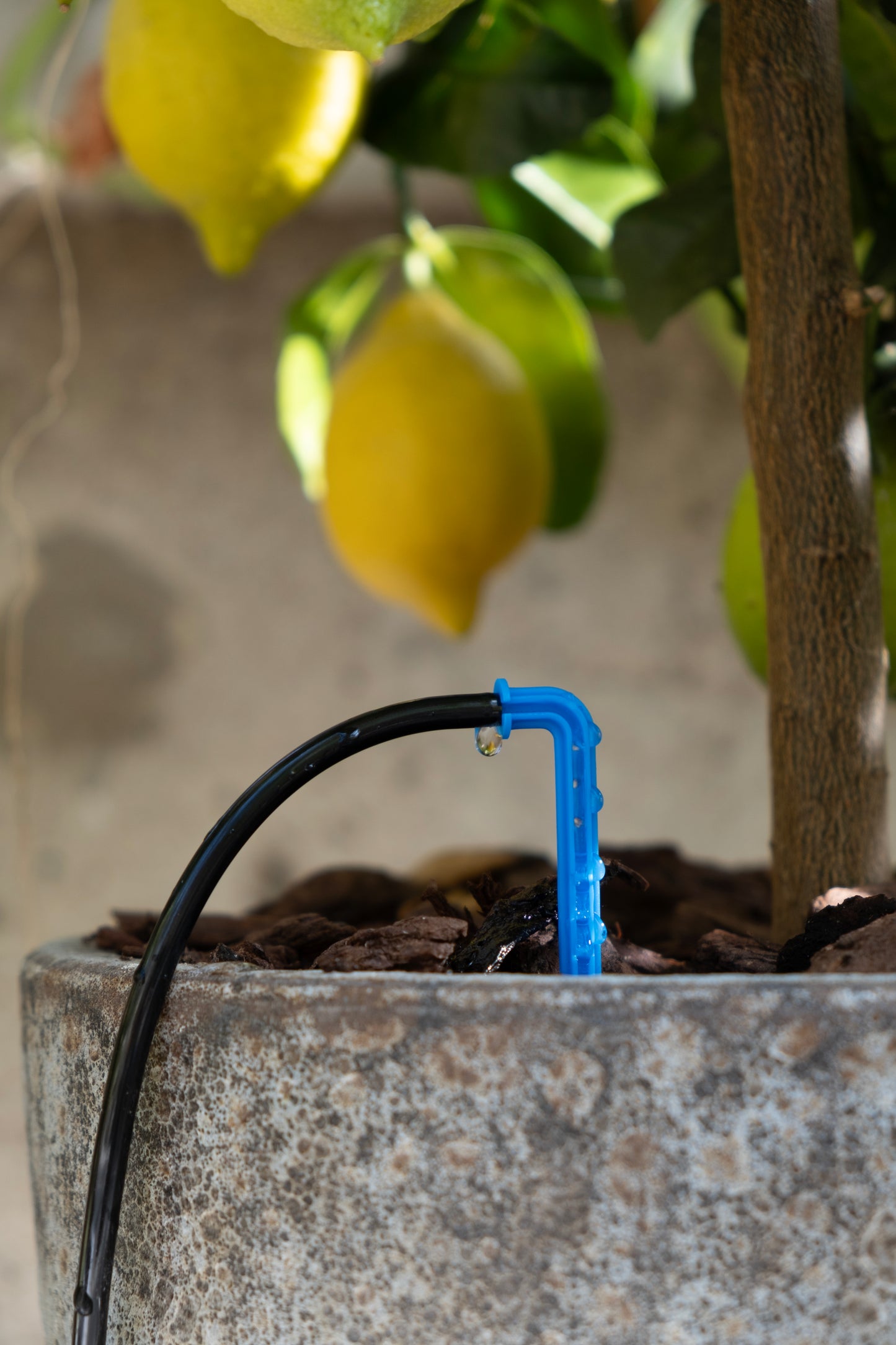 EcoAqua S10 Solcellsdrivet Droppbevattningssystem