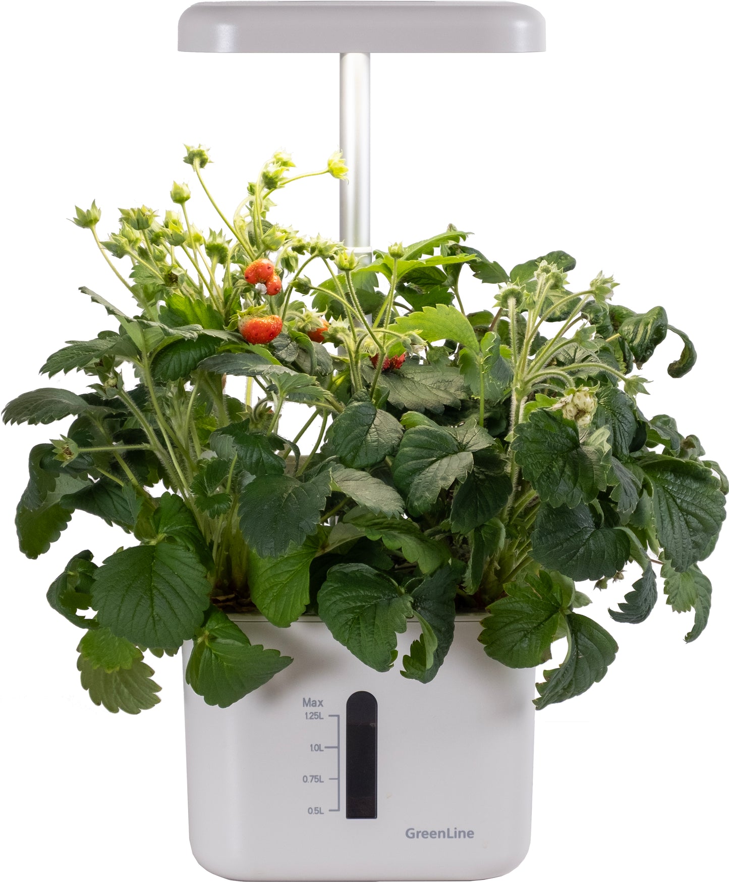 Urban Growing P4 Hydroponiskt Odlingssystem