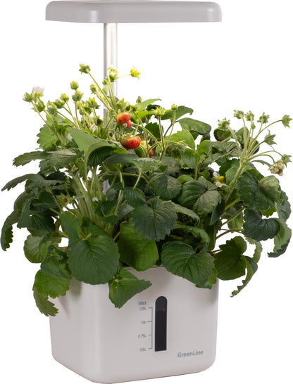 Urban Growing P4 Hydroponiskt Odlingssystem