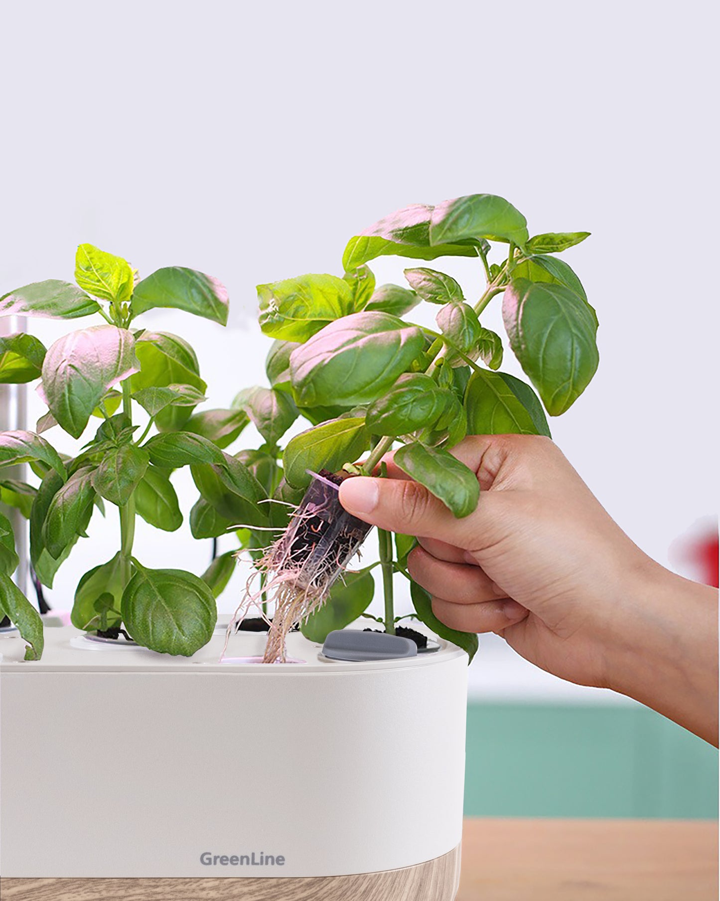 Urban Growing P10 Hydroponiskt Odlingssystem