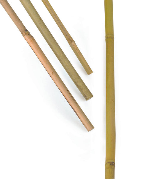 Bambukäpp 200cm storpack