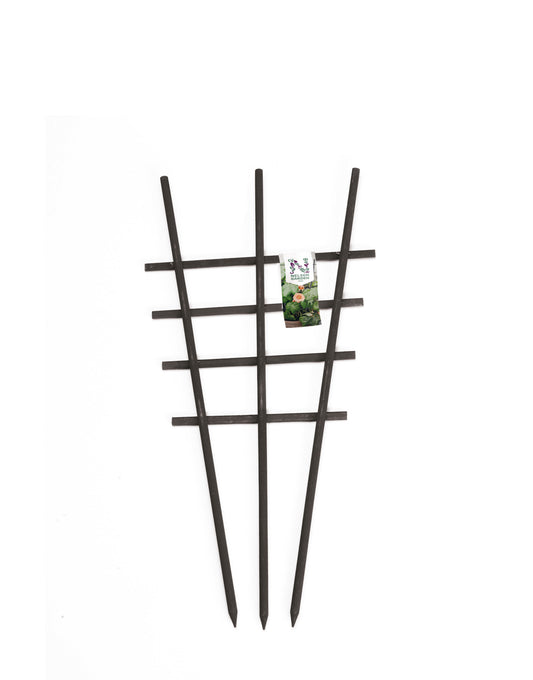 Krukspaljé trä svart 45cm