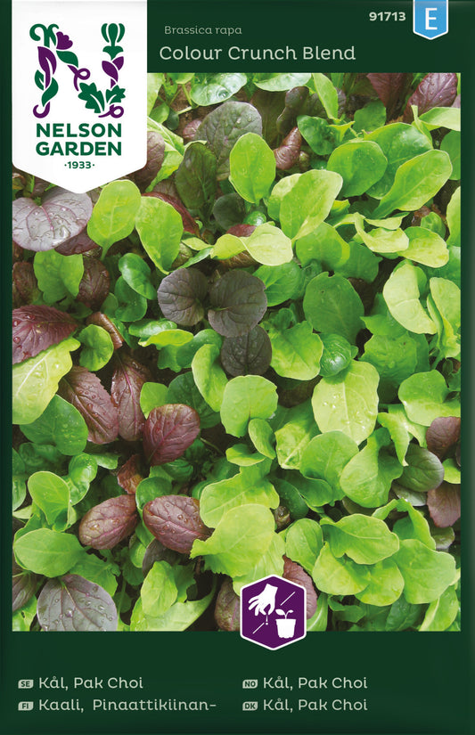 Kål, Pak Choi, mix