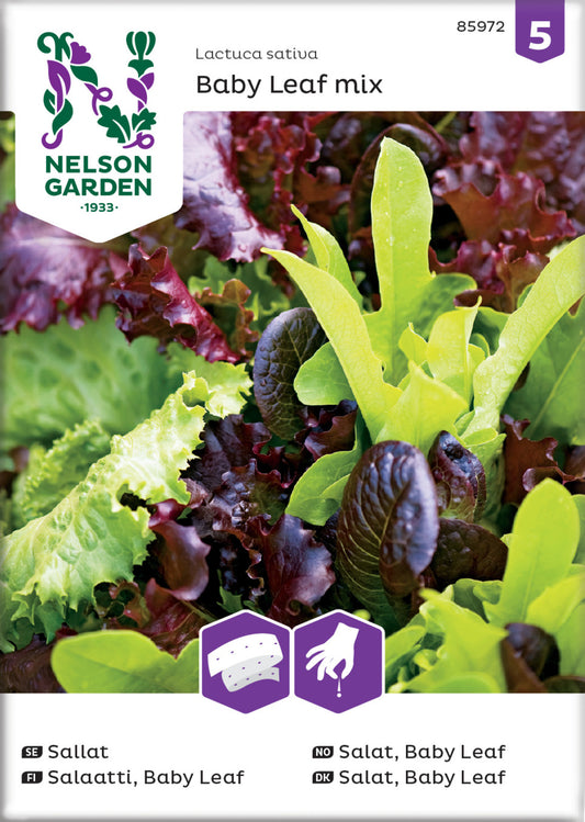 Sallat, Baby Leaf, mix, såband