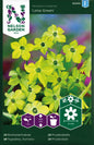 Blomstertobak, Lime Green