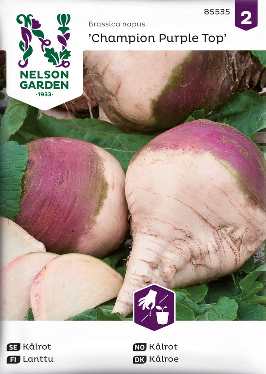 Kålrot, Champion Purple Top