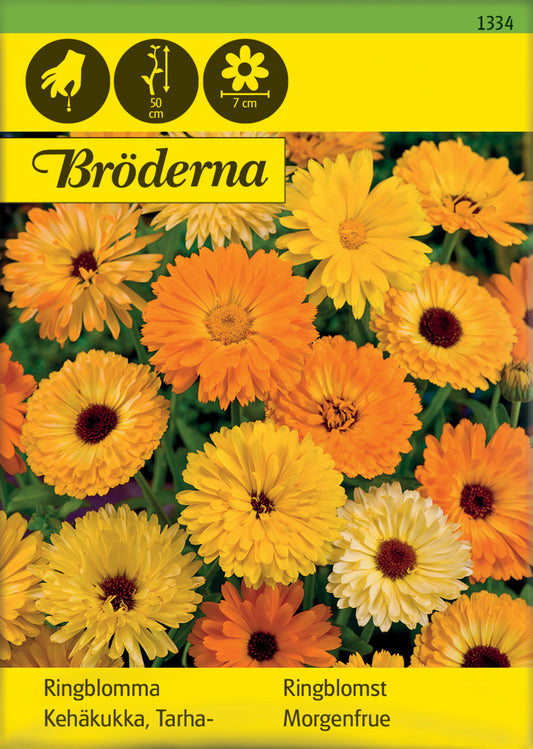 Ringblomma, bl färger