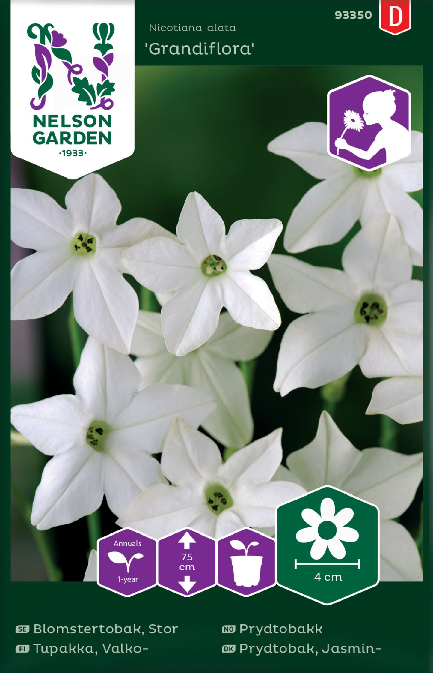 Blomstertobak, Stor-, Grandiflora, vit