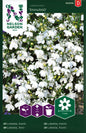 Lobelia, Kant-, Snowball, vit