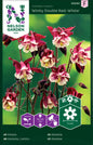 Akleja, Winky Double Red-White
