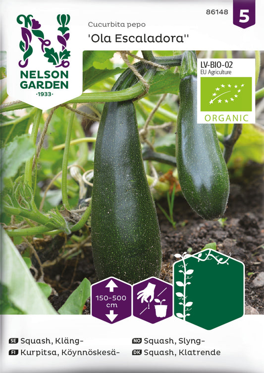 Squash, Kläng-, Ola Escaladora, Organic