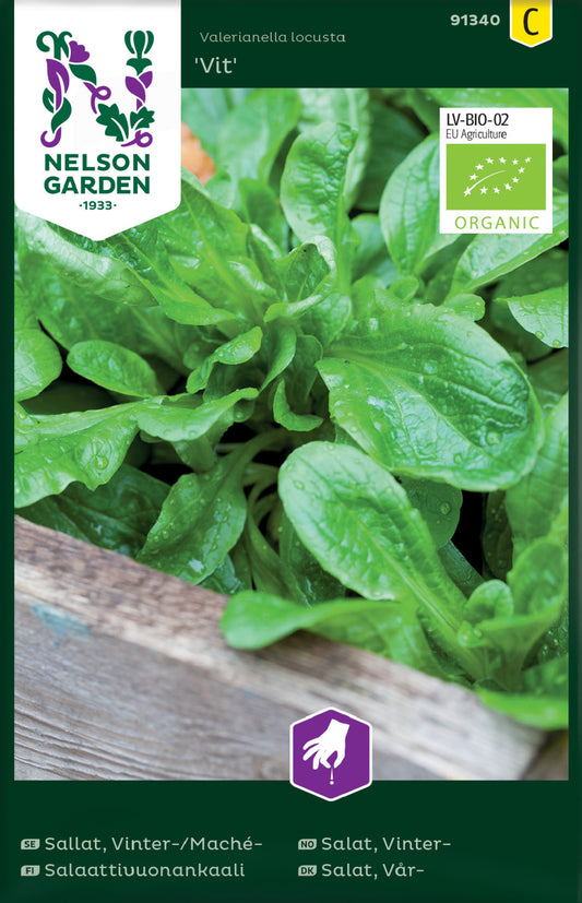 Sallat, Vinter- / Mache, Vit, Organic