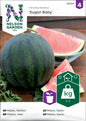 Melon, Vatten-, Sugar Baby