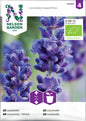 Lavendel, Organic