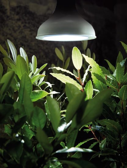 LED-lampa för växtbelysning – 18 W, E27