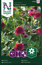 Zinnia, Cresto! Violet