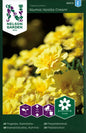Tagetes, Sammets-, 'Alumia Vanilla Cream