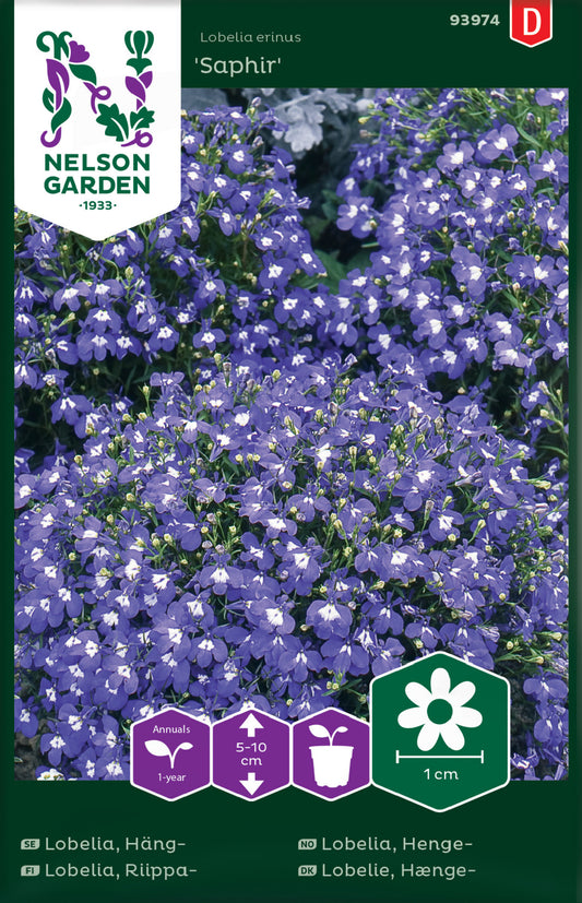 Lobelia, Häng-, Saphir, blå