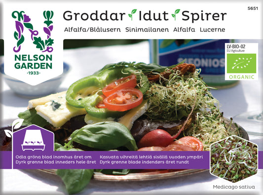 Groddar alfalfa Organic